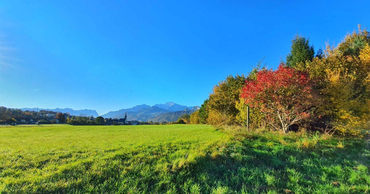 Puch Panorama im Herbst © TVB Puch